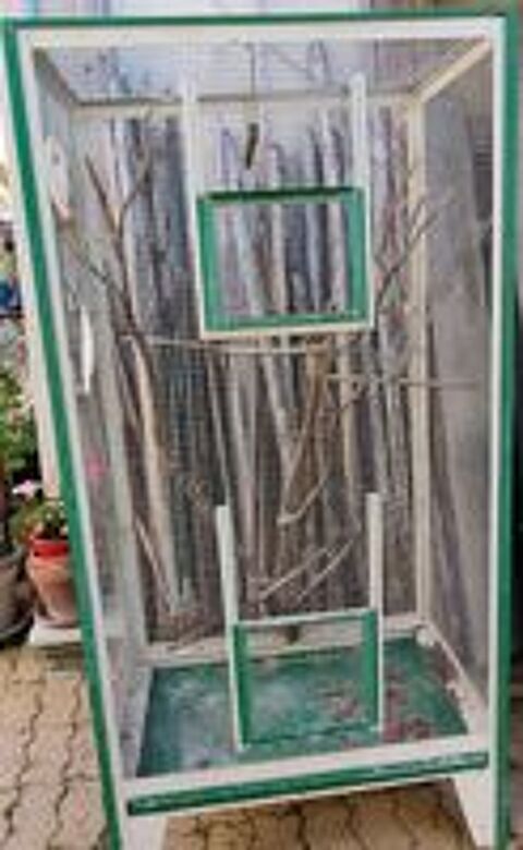   Grande cage 