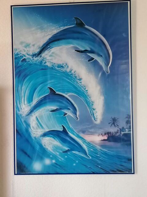 grand cadre en verre  image dauphins 25 Aytré (17)
