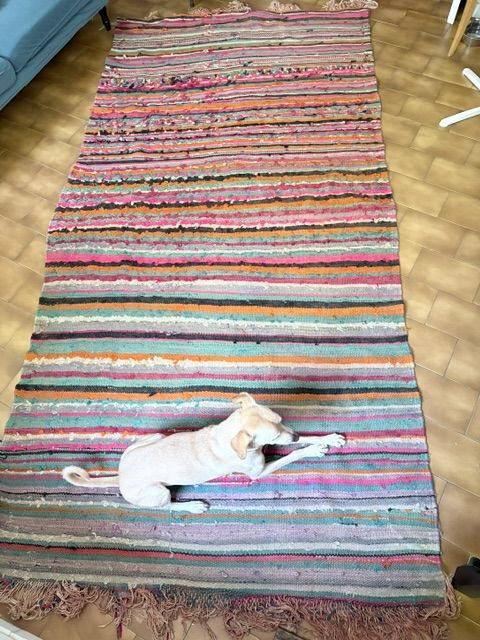 176 x 344 Tapis Berbère réversible 220 Toulouse (31)