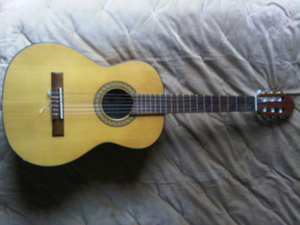GUITARE CLASSIQUE 3/4 PRO ARTE GC 75 II	 Instruments de musique