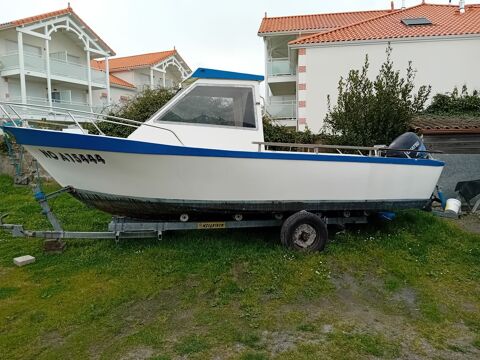 Bateaux à moteur Pêche-promenade 1994 occasion Pornic 44210