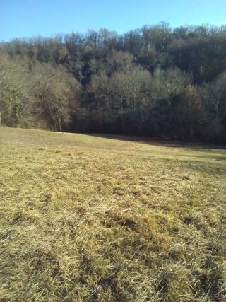  Terrain à vendre 24000 m² Miélan