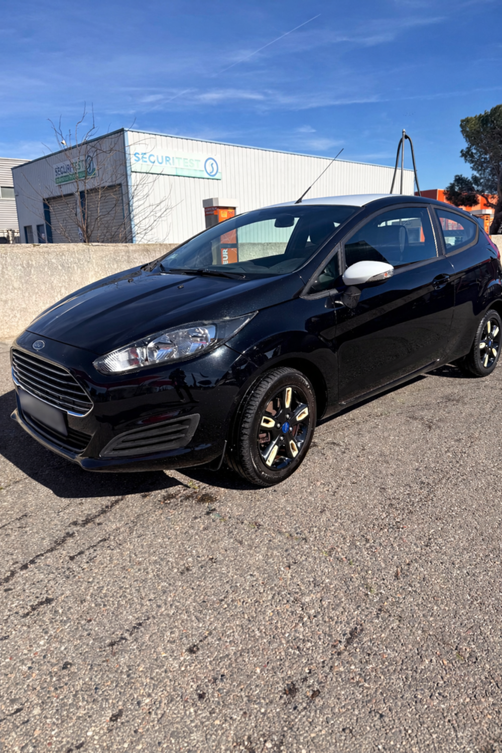 Fiesta 1.0 EcoBoost 100 S&S Black 2015 occasion 13800 Istres