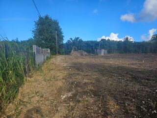  Terrain à vendre 1563 m²