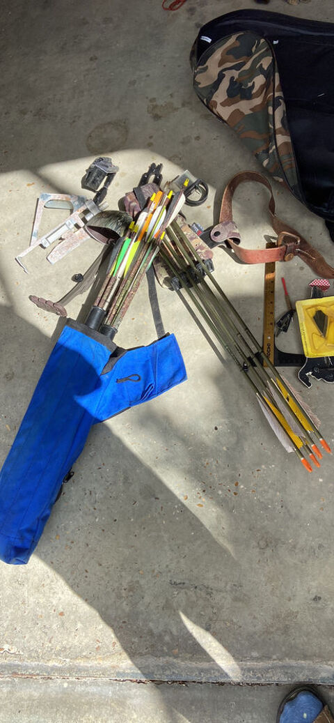 Arc  poulies 250 Oger (51)