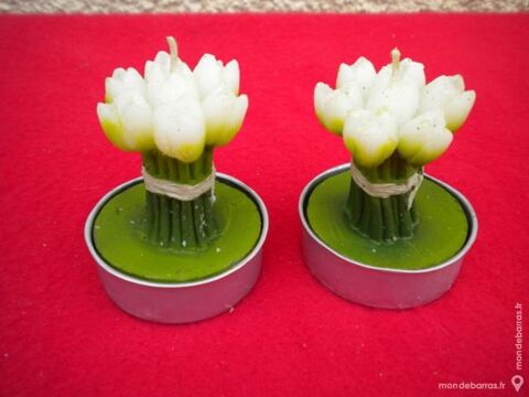2 BOUGIES   Tulipes   5 Dammarie-les-Lys (77)
