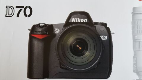 NIKON D70 0 Bordeaux (33)