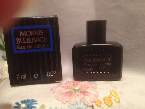 MINIATURE DE PARFUM 4 Vincennes (94)