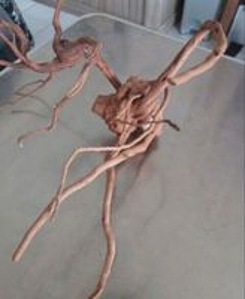   Bois d'araign�e naturel 40*30  