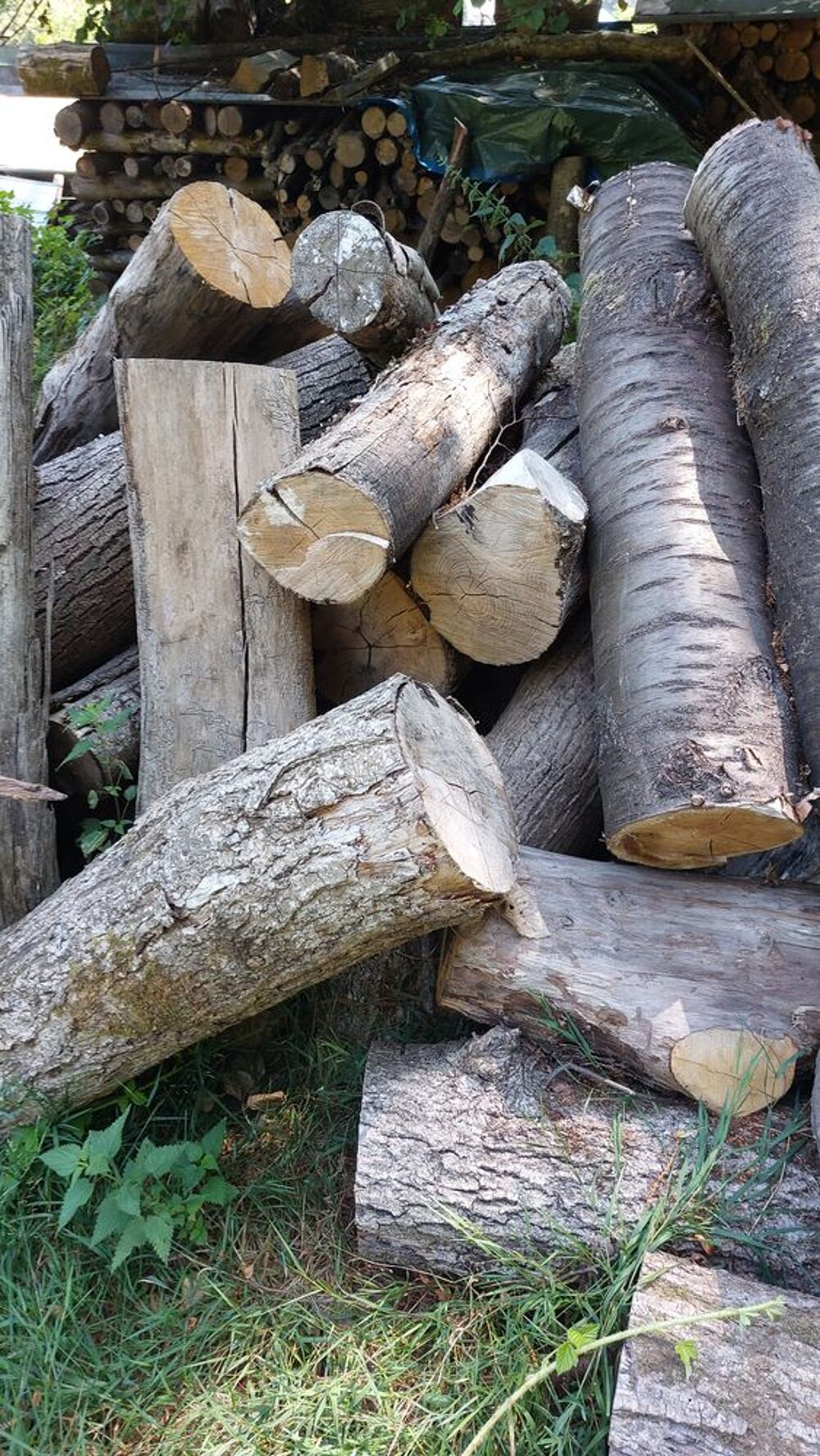 Bois de chauffage Jardin