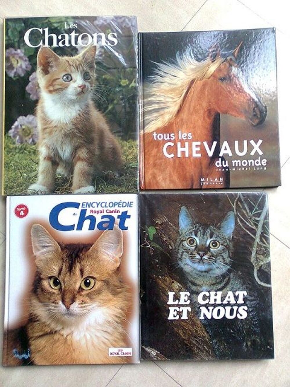 tous les CHEVAUX du monde - le chat - le chien - zoe Livres et BD