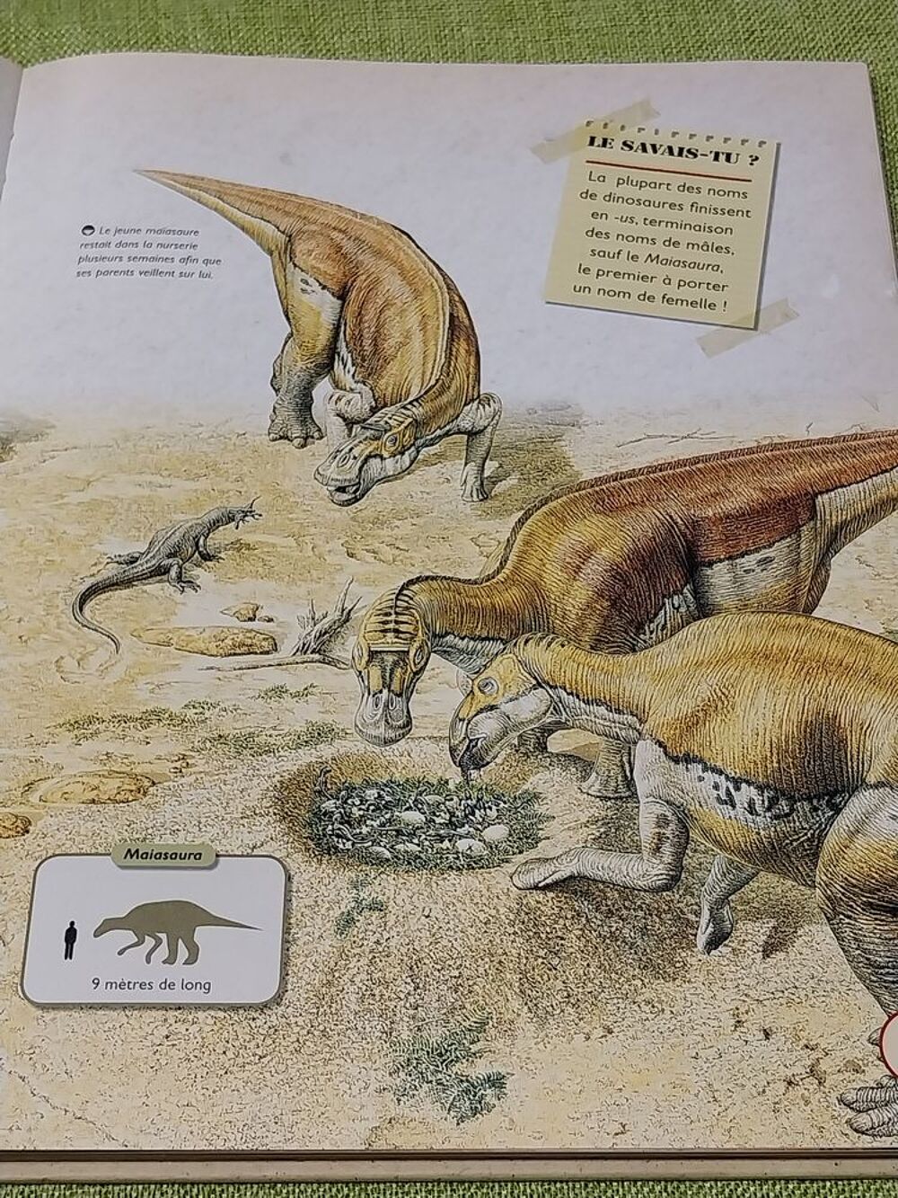 Dinosaures le livre de tous les secrets Rupert Matthews Livres et BD