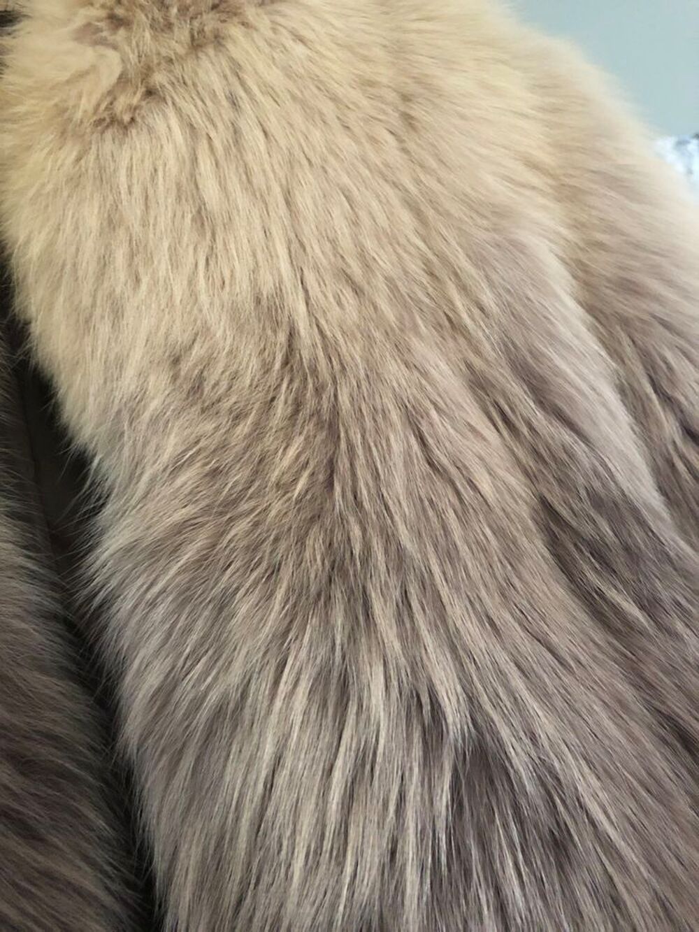 Veste de renard pleine peau Vêtements