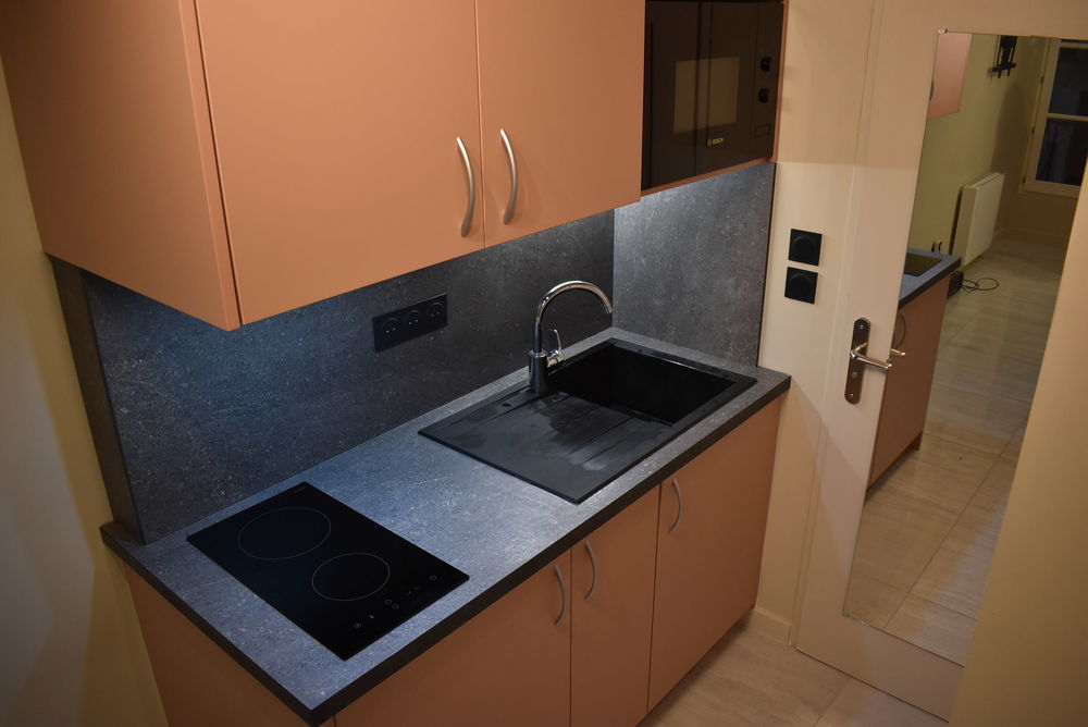 Location Appartement Studio 29 rue Imbert Colomès Lyon 1er Lyon 1