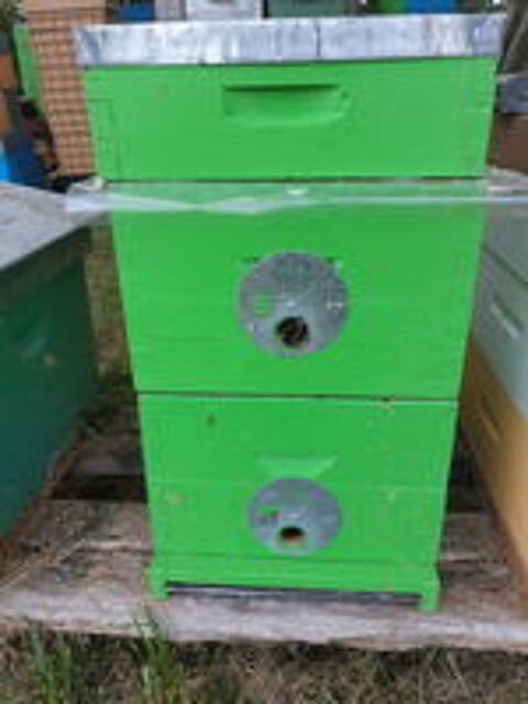   APICULTURE 