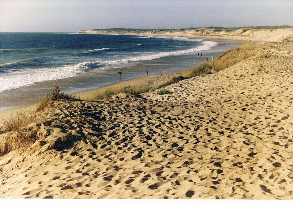 Vente Terrain terrain batissable de 2365 m² pres de la plage dans le Medoc Saint-vivien-de-médoc
