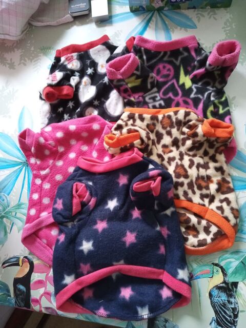 petit pull chien polaire 10 59800 Lille