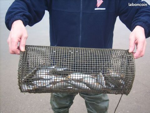 peche casiers pour vifs 20 Metz (57)