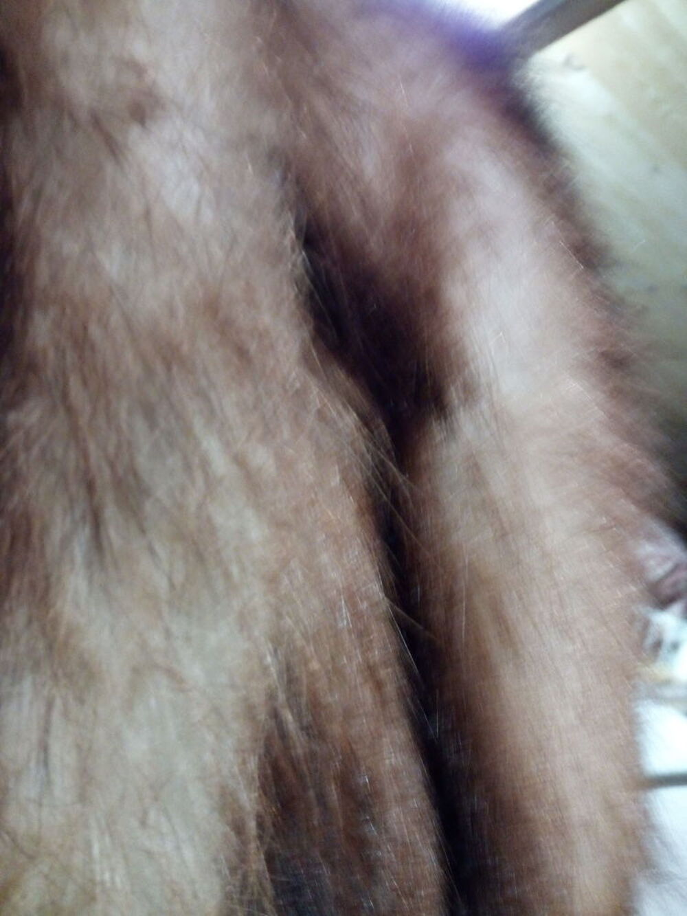 manteau fourrure marmotte d'Am&eacute;rique Vêtements
