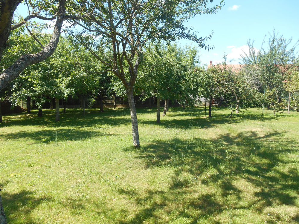 Vente Maison ENSEMBLE IMMOBILIER MAISON ET LOCAL COMMERCIAL Amilly