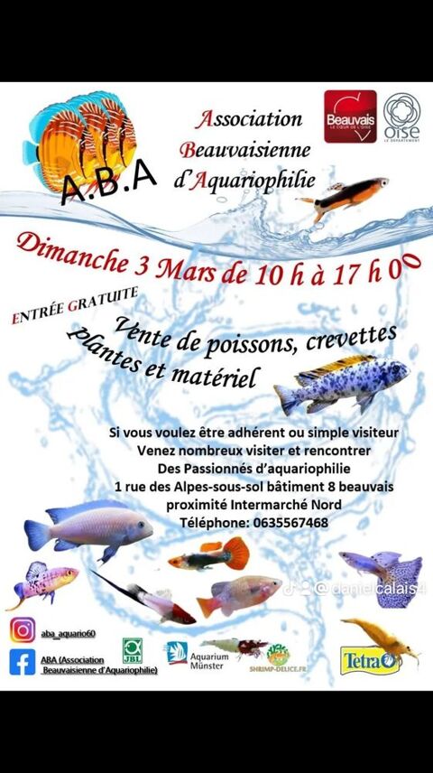 divers poissons 0 60000 Beauvais