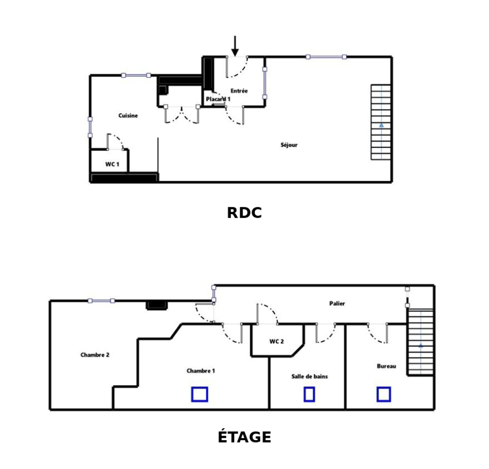 Vente Maison Maison de ville avec terrasse Sud et garage possible Nantes
