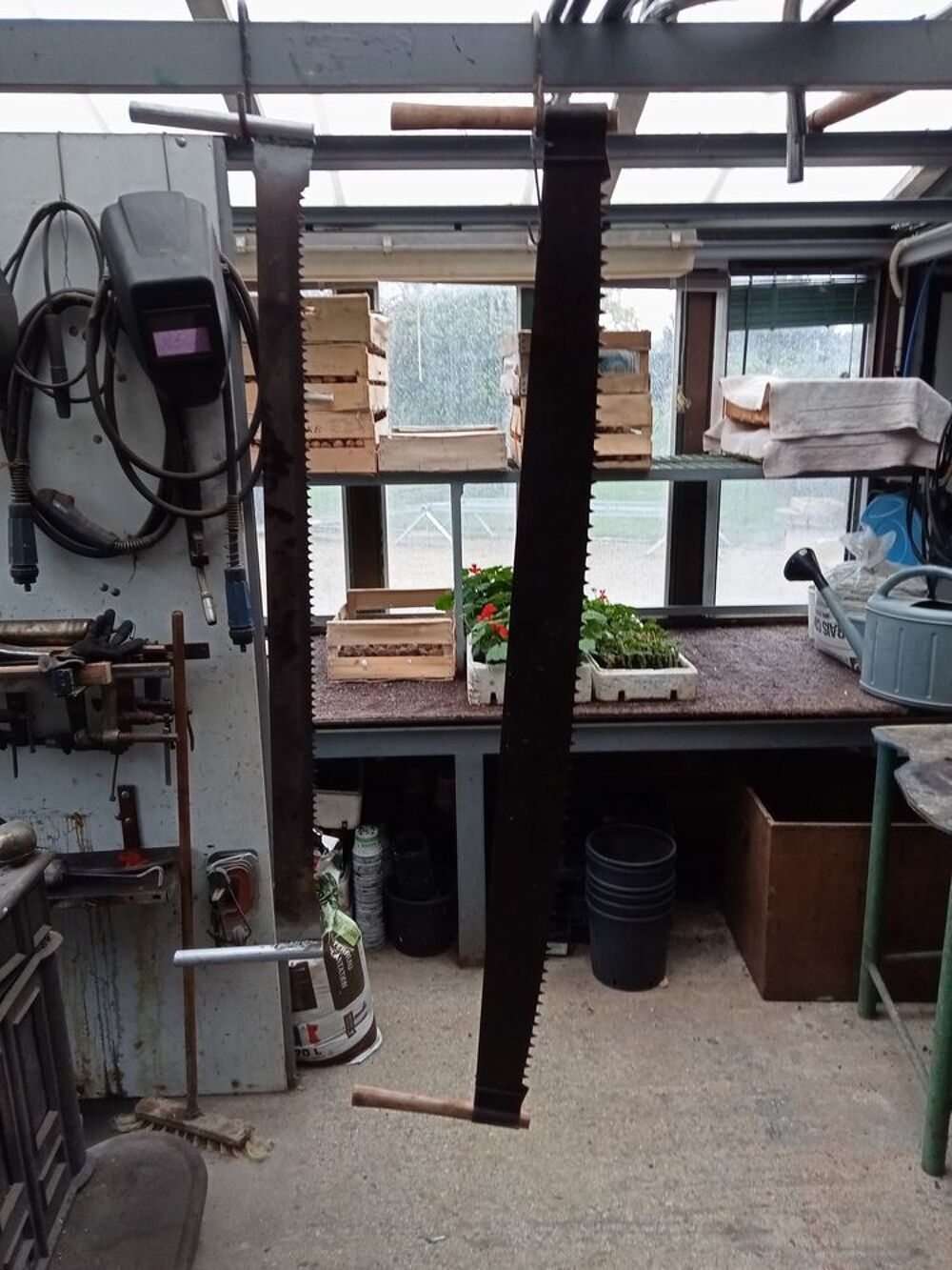 scie passe partout Bricolage