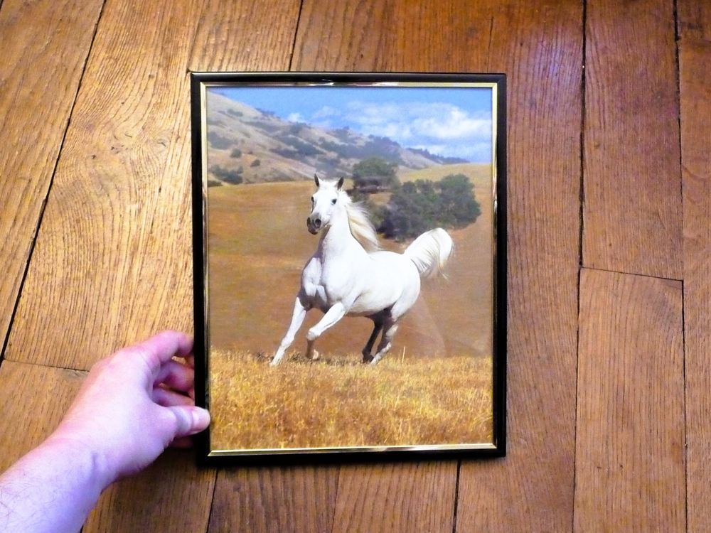 Cheval Blanc dans son Cadre Rectangulaire Noir Décoration
