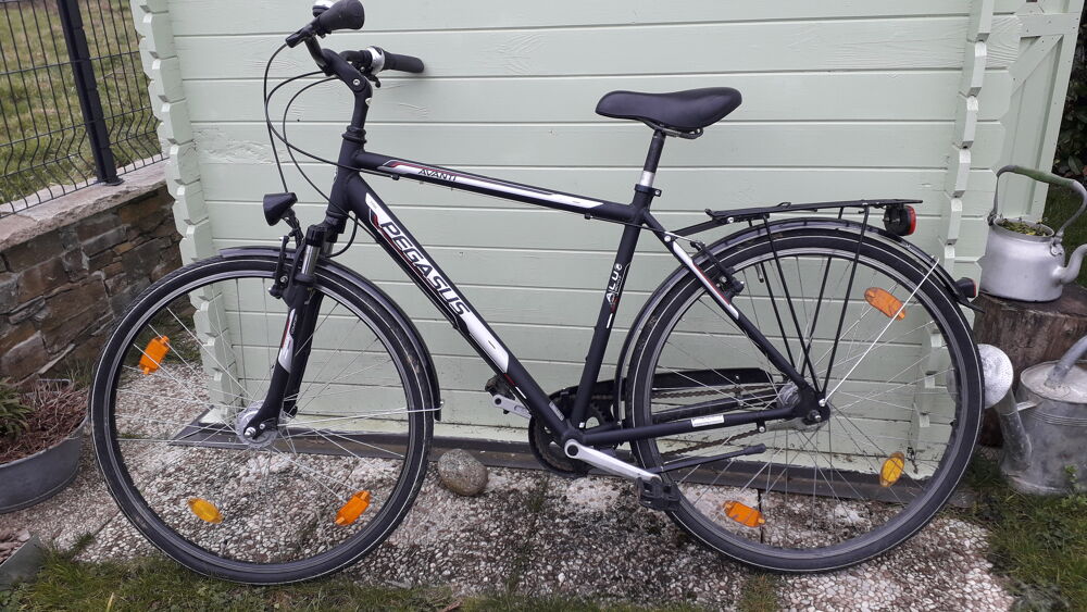 VTC PEGASUS HOMME Vlos