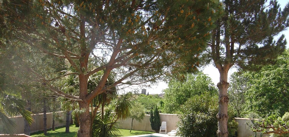 Vente Maison Maison de campagne rénovée en pierre au calme ( 14453 m2 ) Peyriac-minervois