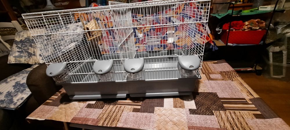   GRANDE CAGE COMME NEUVE ! 