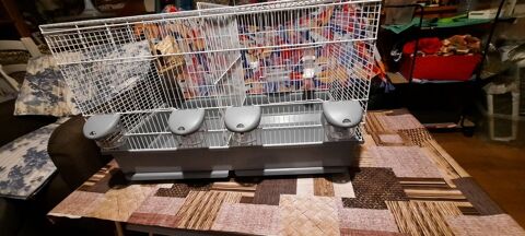 GRANDE CAGE COMME NEUVE ! 70 94320 Thiais