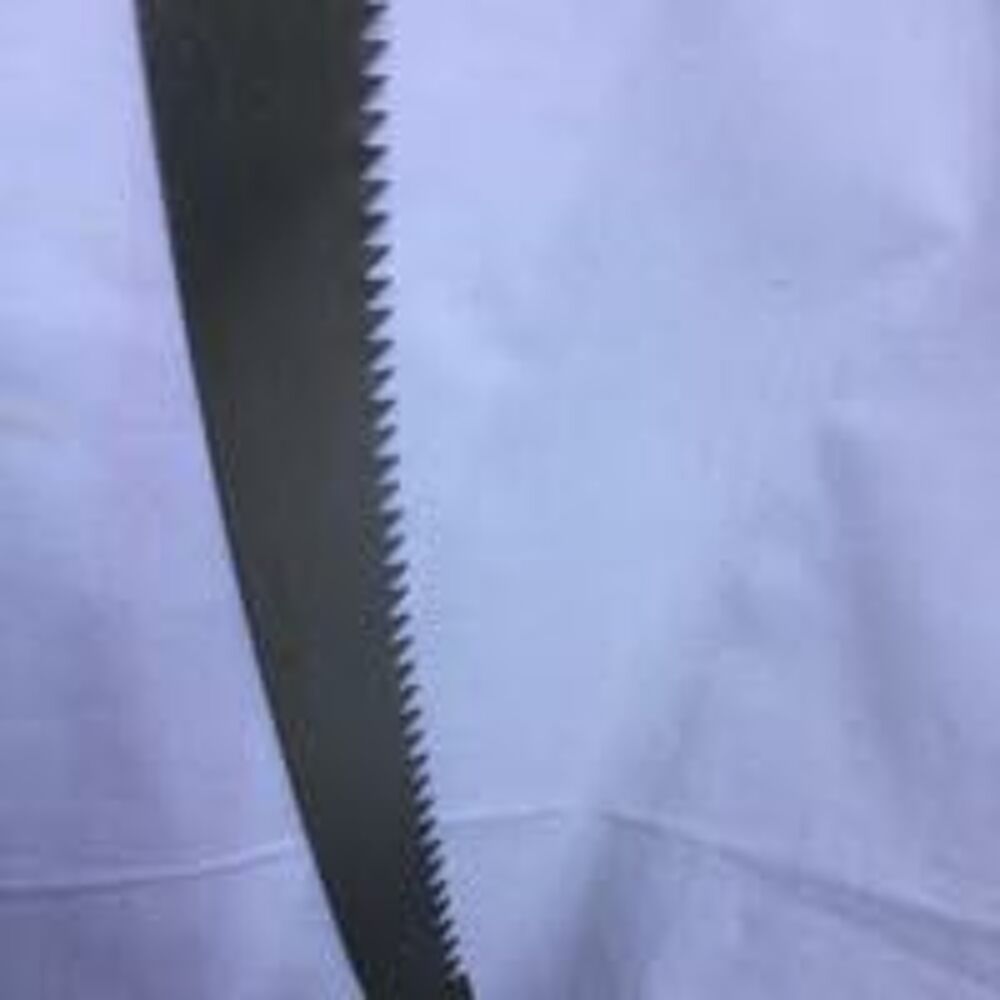 Lame de rechange pour scie perche 35 cm Jardin