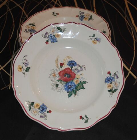 Assiettes Creuses Faence Sarreguemines Agreste 4 Saint-Pierre-de-Buf (42)