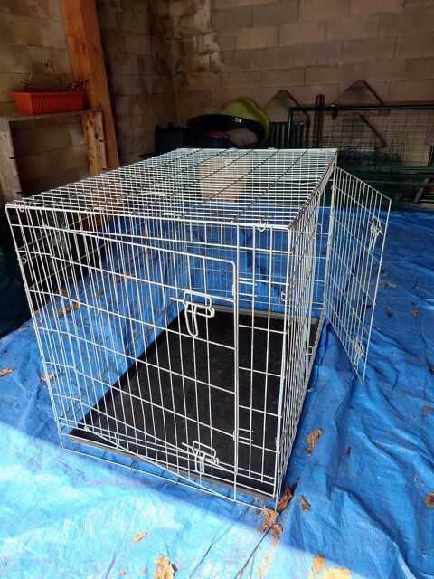 Cage de transport pour chien avec 2 portes 115 x 77 x 75 cm 79 90000 Belfort
