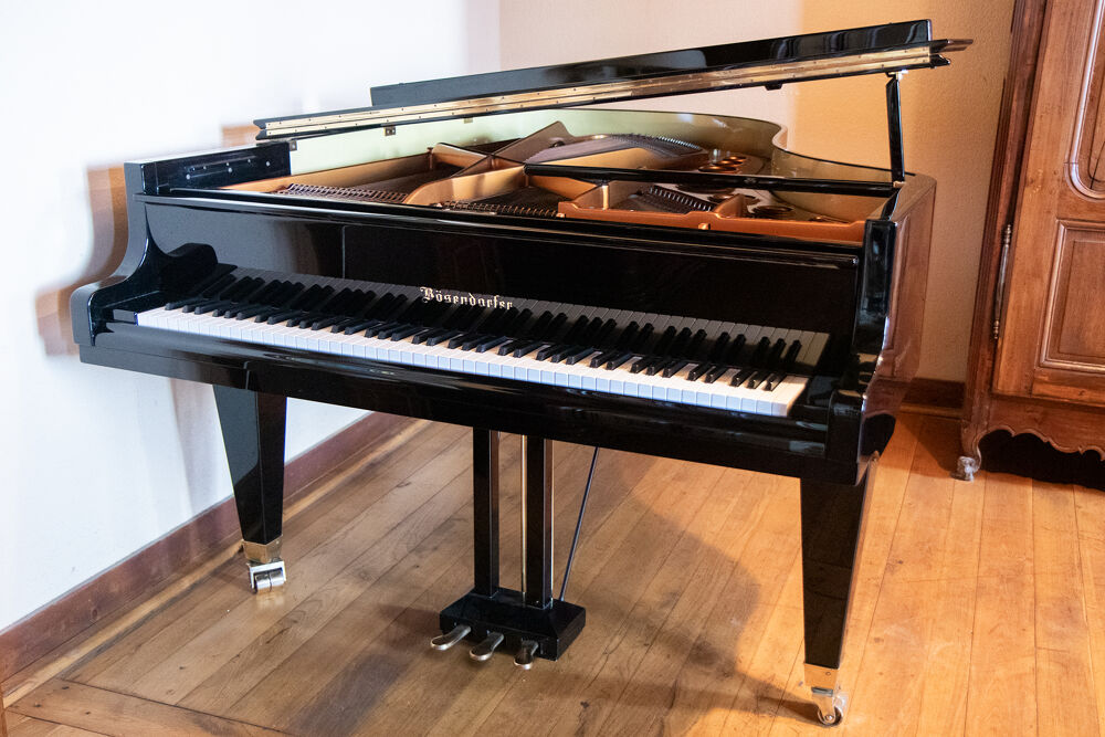 B&ouml;sendorfer Instruments de musique