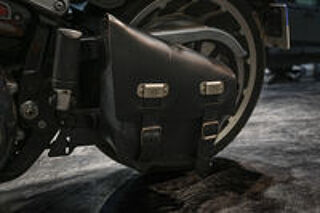 HARLEY-DAVIDSON 2020 occasion 60280 Clairoix
