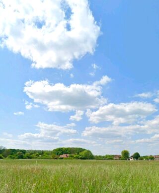  Terrain à vendre 980 m² Orgerus