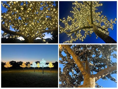 ERABLE ARTIFICIEL LUMINEUX  GEANT 4,50 M ? D�STOCKAGE Saint-Maximin-la-Sainte-Baume (83)