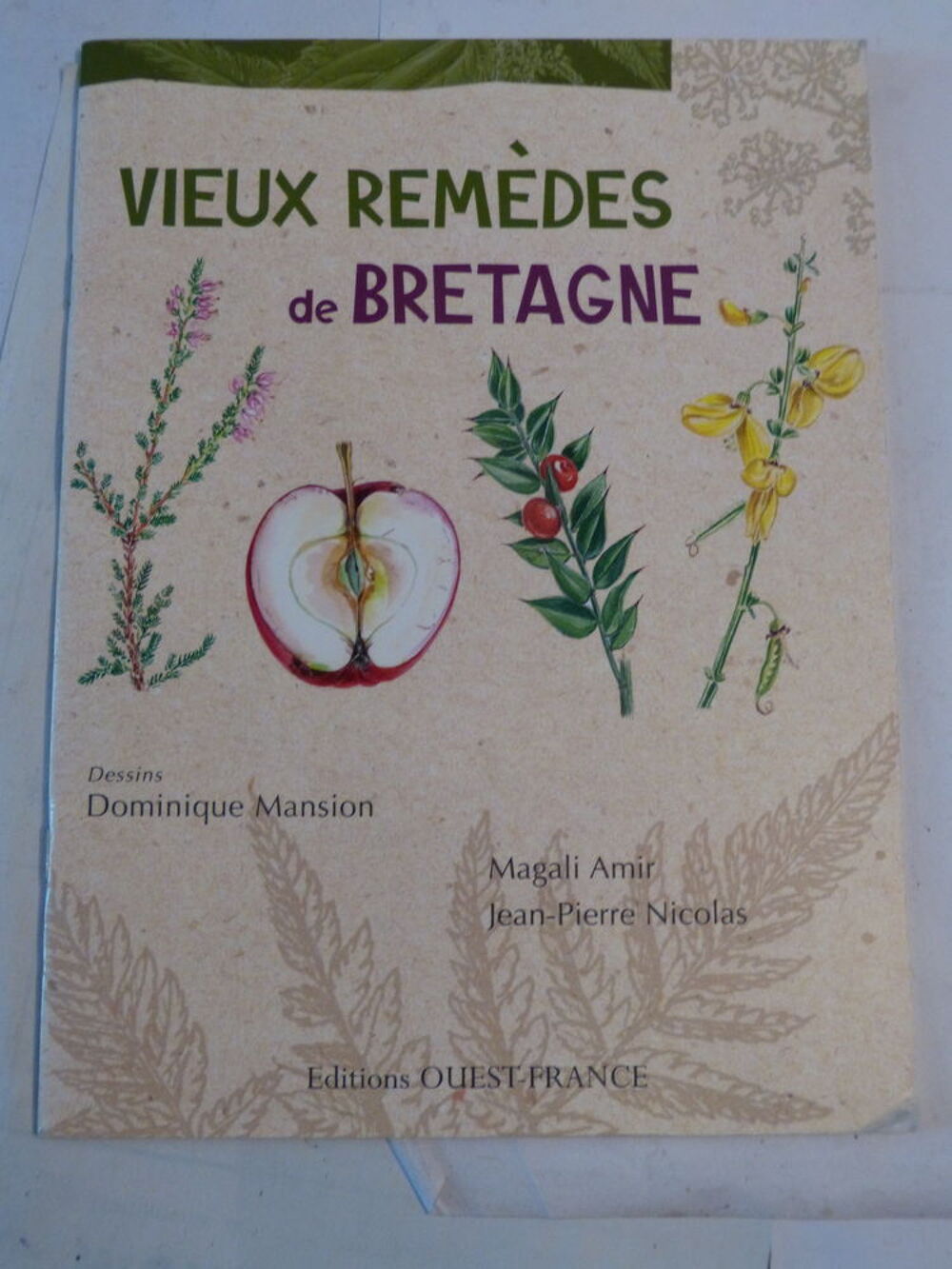 LES VIEUX REMEDES DE BRETAGNE Livres et BD