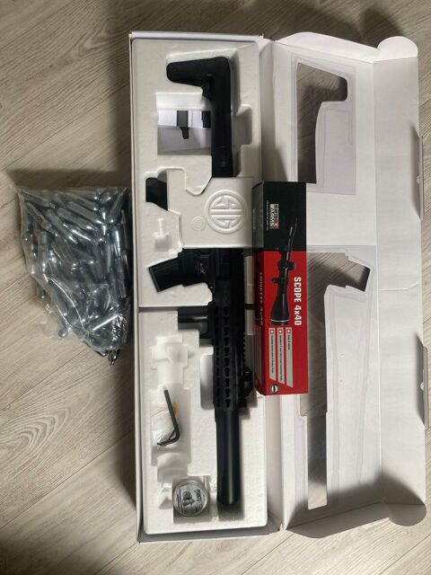 Carabine air comprim 230 Vannes (56)