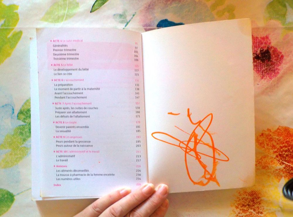 MA GROSSESSE EN 300 QUESTIONS/REPONSES First Ed. Livres et BD