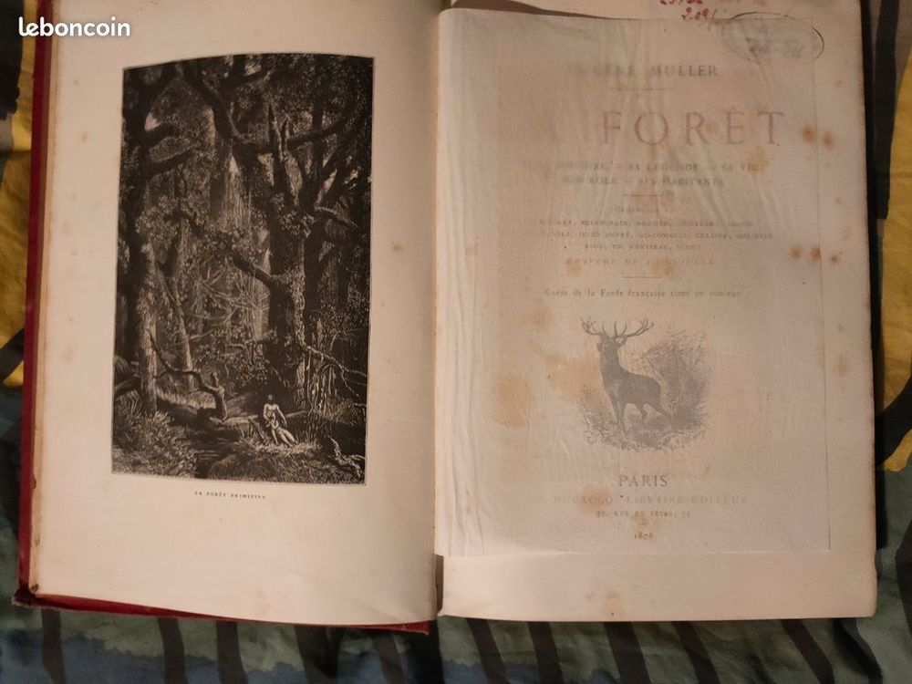 Eugene Muller la F&ocirc;ret gravure animal animeaux arbres art Livres et BD