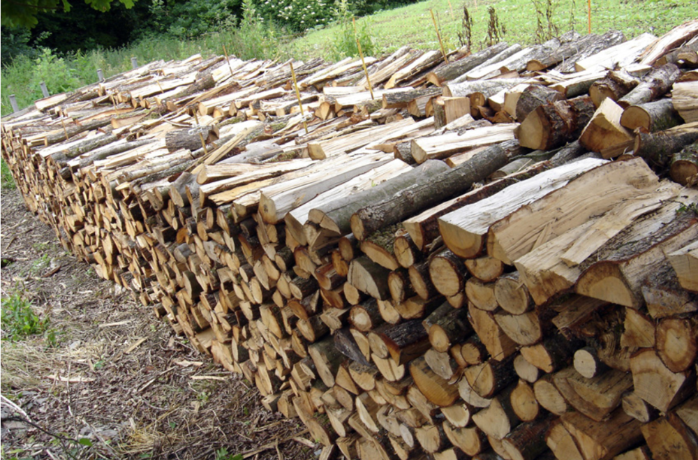 Bois de chauffage Jardin