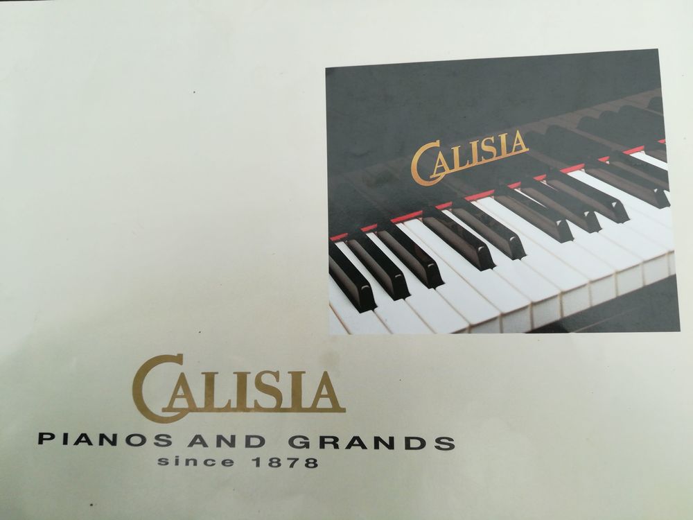 PIANO DROIT RAPSODIA Instruments de musique