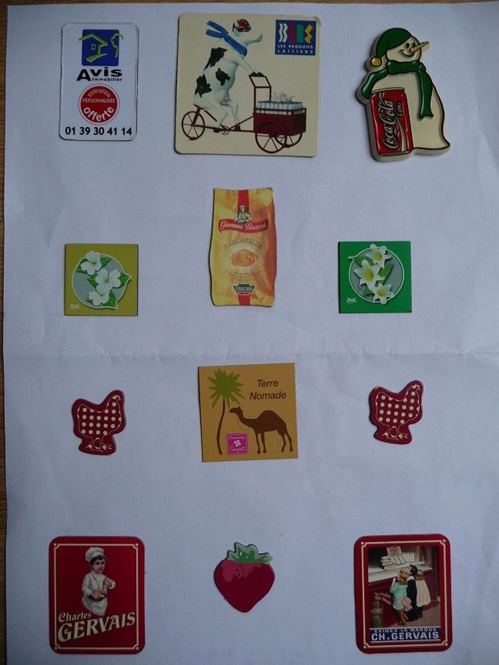 12 magnets divers sujets 