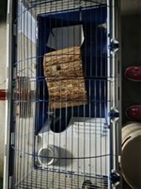   Je cage hamster  