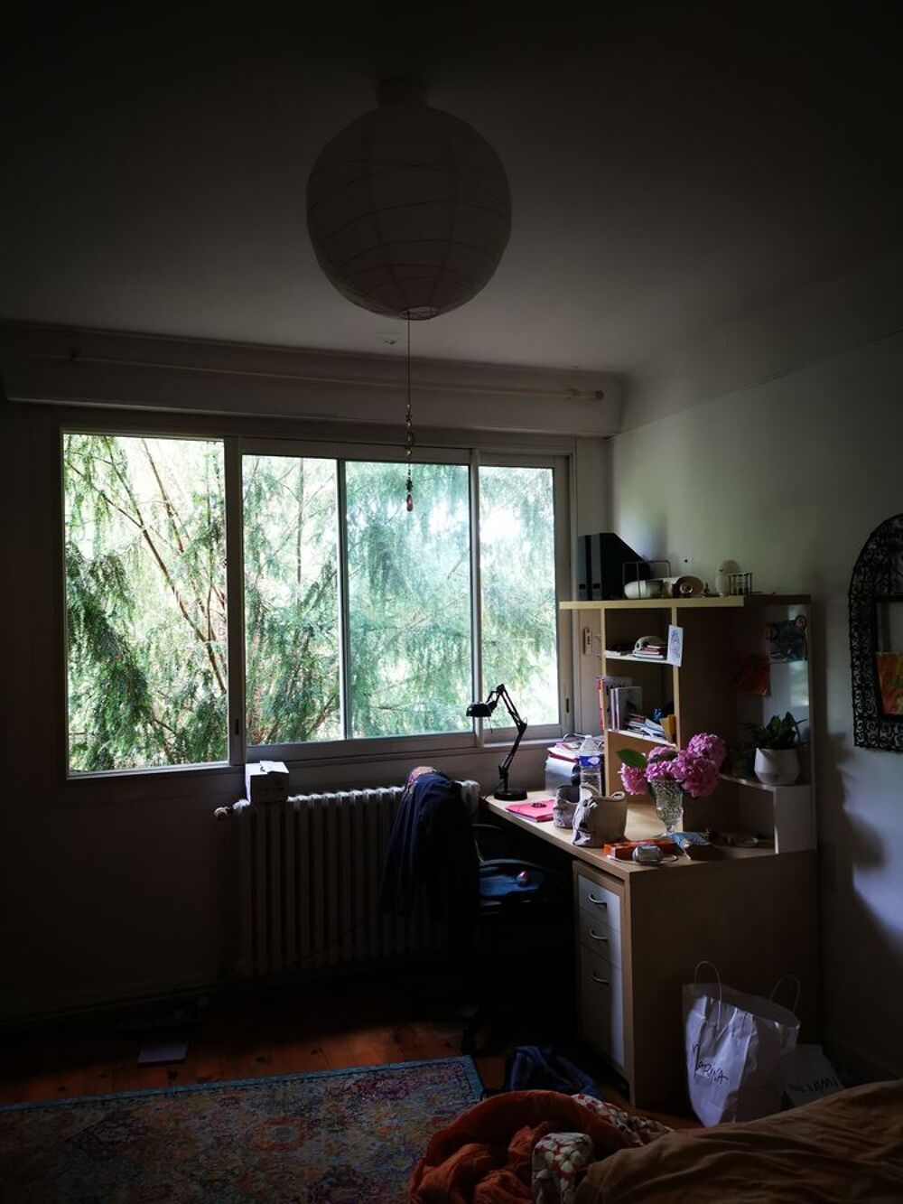 Location Colocation Chambre Z3 Vue sur Garonne 31400 Toulouse