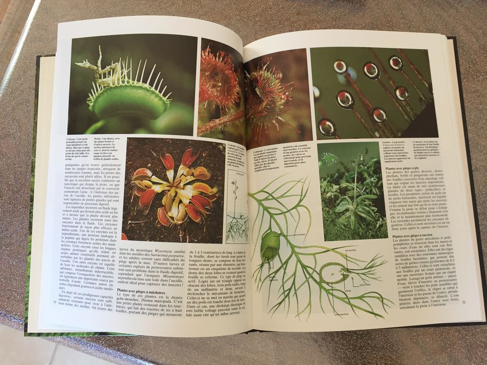 Livre l'encyclopedie illustr&eacute;e des plantes Livres et BD