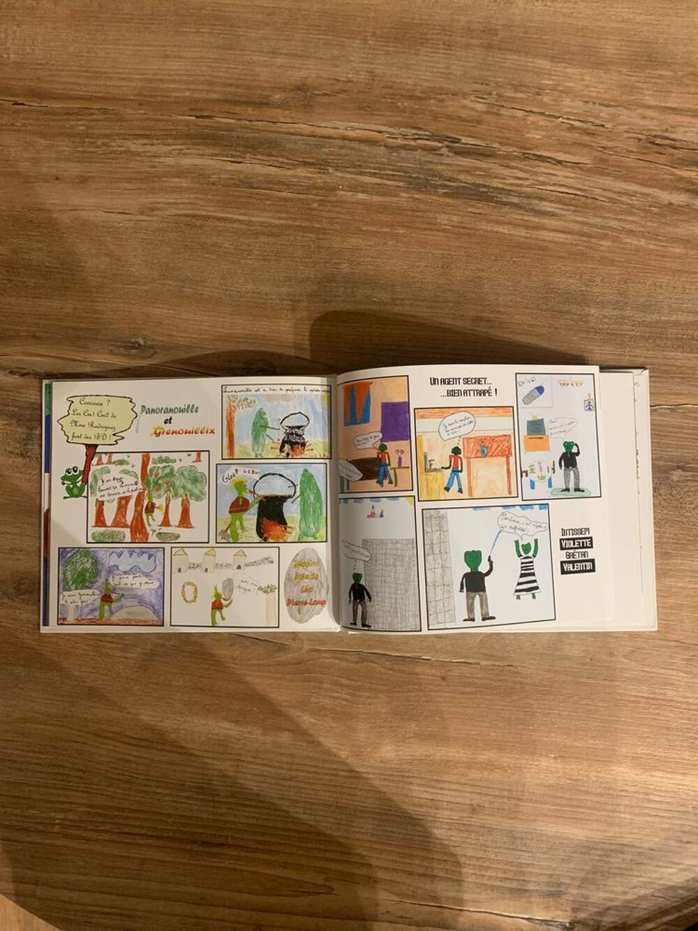 Livre enfant " C' est la f&ecirc;te &agrave; la grenouille " Livres et BD